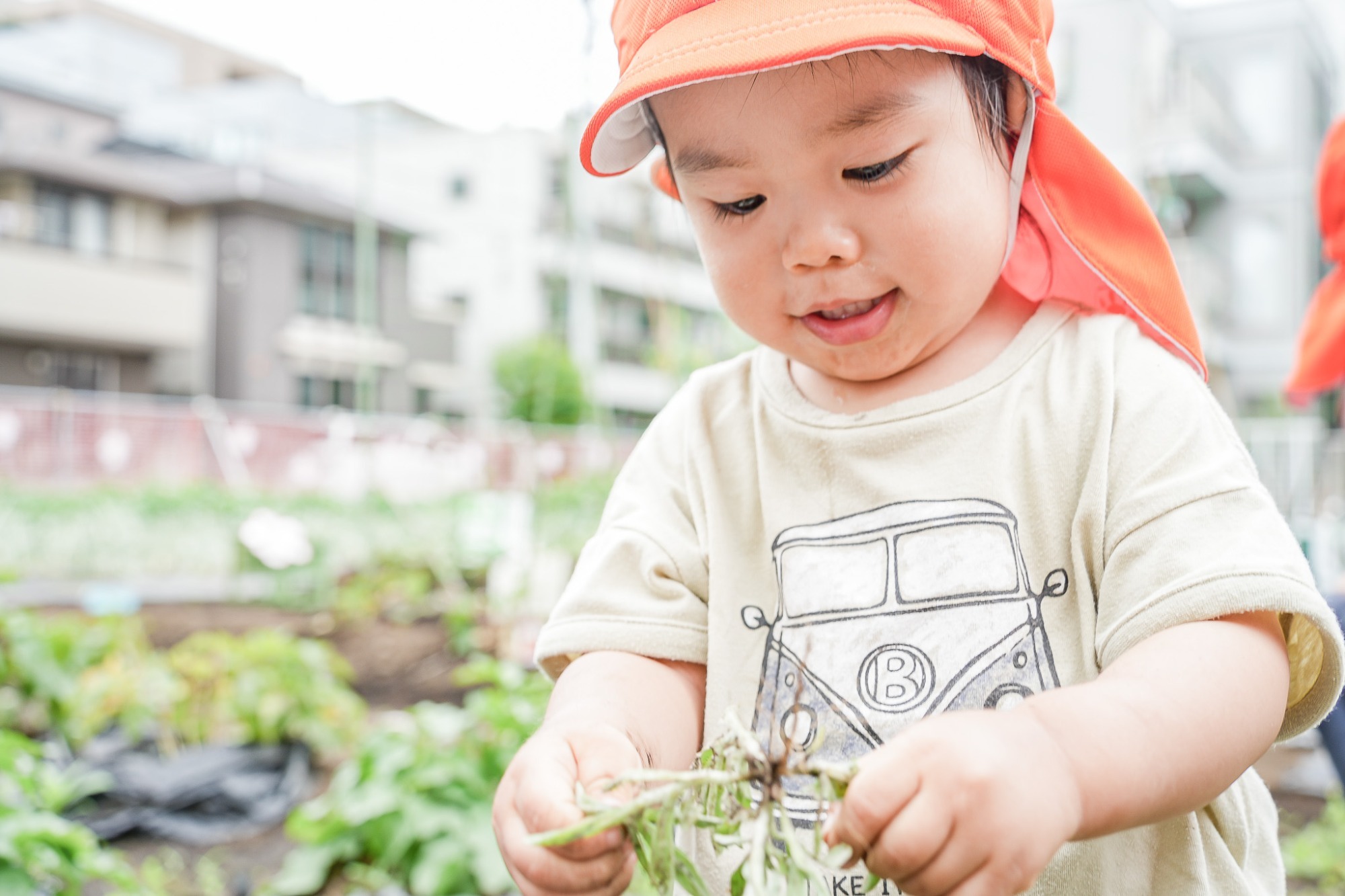 写真:保育の様子